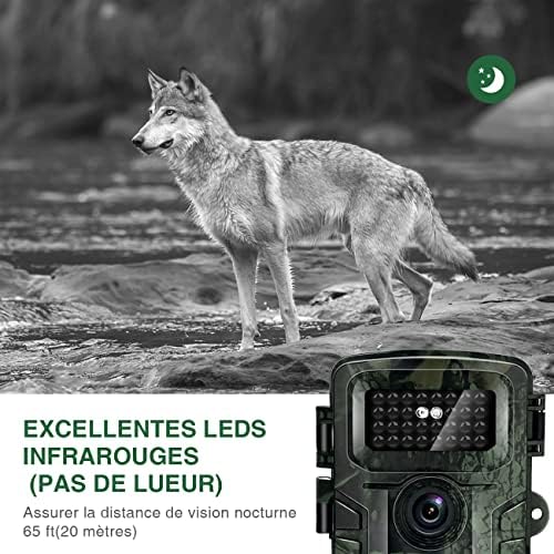 Caméra de Piste de Chasse avec Vision Nocturne infrarouge - Vision Nocturne Animaux HD